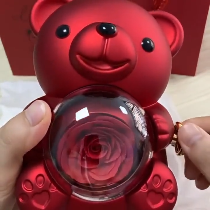 Ours Éternel & Collier Personnalisé